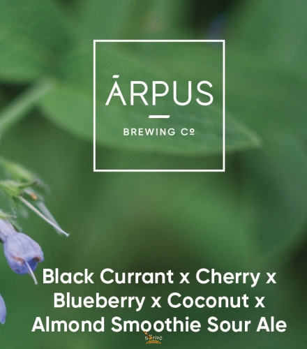 Ārpus Brewing Co. - Black Currant x Cherry x Blueberry x Coconut x Almond Smoothie Sour Ale   (0,44) (4,5 %)