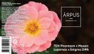 Ārpus Brewing Co. -  TDH Phantasm x Mosaic Lupomax x Enigma DIPA   (0,44) (8%)