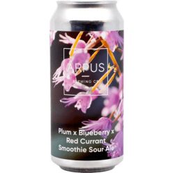   Ārpus Brewing Co. - Plum X Blueberry X Red Currant Smoothie Sour Ale   (0,44) (4.5 %)