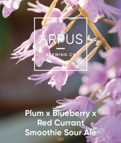 Ārpus Brewing Co. - Plum X Blueberry X Red Currant Smoothie Sour Ale   (0,44) (4.5 %)