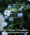 Ārpus Brewing Co. - Plum x Mango x Pineapple x Coconut Smoothie Sour Ale   (0,44) (4,5 %)