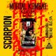 Mad Scientist Mortal Kombat - SCORPION    (0,33L) (5 %)