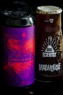 Mad Scientist  MAD IN BLACK 2024 Black Pils  (0,44L) (5 %)