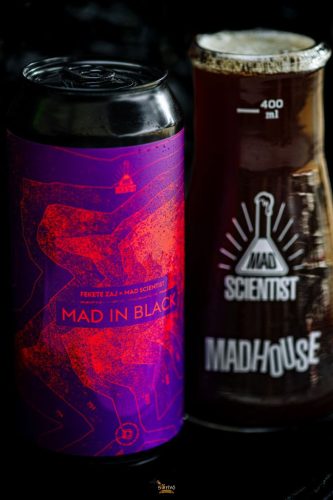 Mad Scientist  MAD IN BLACK 2024 Black Pils  (0,44L) (5 %)