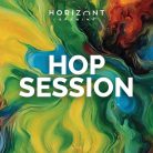 Horizont Hop Session IPA  (4%)
