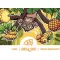 Hoptop Jungle Shot  Gose  (0,33L) (3,4%)