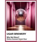 Ugar SPECTRUM SERIES – Why Not Disco?   (0,5L) (7%)