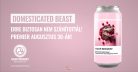Ugar SPECTRUM SERIES – Domesticted Beast  (0,5L) (7,6 %)