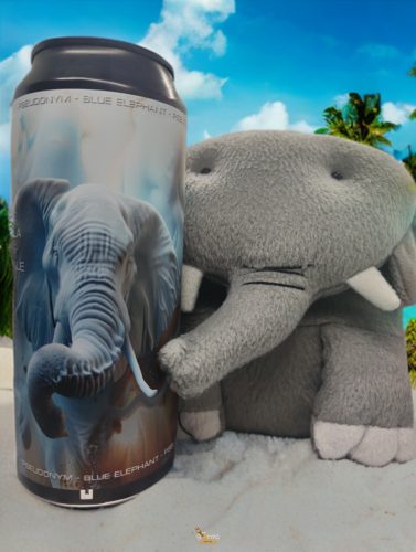 Pseudonym Brewery - It's 8 For Me  (0,5L) (5,6%)