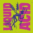 Mad Scientist LIQUID ACID  (0,44L) (6,2%)