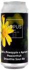 Ārpus Brewing Co. Chilli X Pineapple X Apricot X Passionfruit Smoothie Sour Ale   (0,44) (4,5 %)