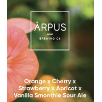 Ārpus Brewing Co. - Orange x Cherry x Strawberry x Apricot x Vanilla Smoothie Sour Ale    (0,44) (4.5 %)