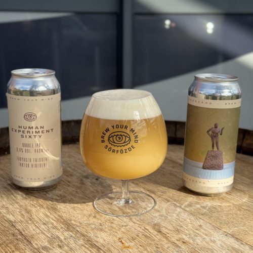 Brew Your Mind Human Experiment  SIXTY - DIPA   (0,44) (8,4 %)