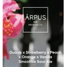 Ārpus Brewing Co. Passionfruit x Lemon x Blueberry x Mango x Coconut Smoothie Sour Ale   (0,44) (4,5 %)