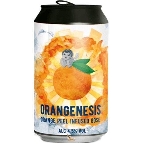 Reketye Orangenesis (0,33L) (4,5%)Orange Peel Infused Gose