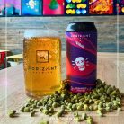 Horizont collab Willibald - Cashmere Shores  (0,44L) (6,5 %)