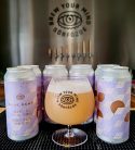 Brew Your  Mind Blue Echo   IPA  (0,44) (6.7 %)