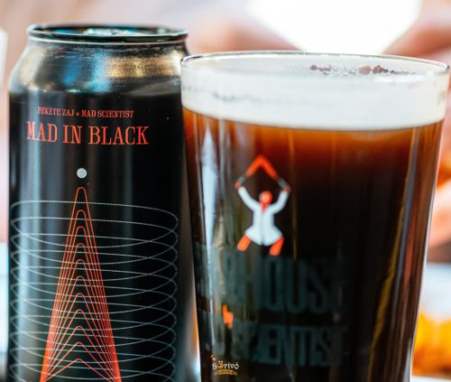 Mad Scientist  MAD IN BLACK 2025 Black Pils  (0,44L) (5 %)