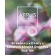 Ārpus Brewing Co. - Strawberry x Cherry x Banana x Almond Smoothie Sour Ale   (0,44) (4,5 %)