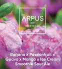 Ārpus Brewing Co. - Banana x Passionfruit x Guava x Mango x Ice Cream Smoothie Sour Ale  (0,44) (4,5 %)