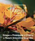 Ārpus Brewing Co. - Grape x Pineapple x Cherry x Peach Smoothie Sour Ale  (0,44) (4,5 %)
