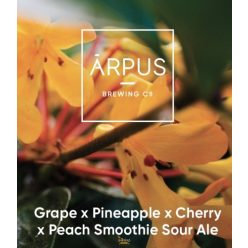  Ārpus Brewing Co. - Grape x Pineapple x Cherry x Peach Smoothie Sour Ale  (0,44) (4,5 %)