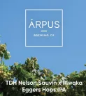 Ārpus Brewing Co. - TDH Nelson Sauvin X Riwaka Eggers Hops IPA   (0,44) (6.5 %)