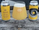 Brew Your Mind SUMMER NECTAR - IPA  (0,44) (6 %)