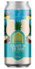 Vault City Caught in the Rain – Pina Colada Sour   (0,44) (7,8 %)