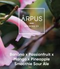 Ārpus Brewing Co. - Banana x Passionfruit x Mango x Pineapple Smoothie Sour Ale  (0,44) (4,5 %)