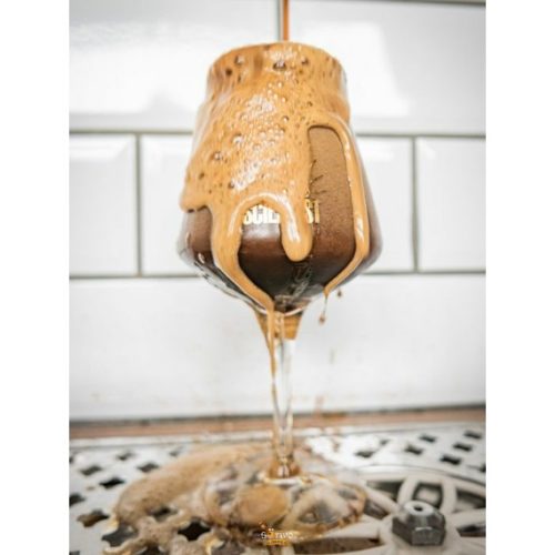 Mad Scientist Dark Horse of Tonka (0,44L) (7,3%)