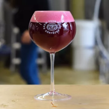   Brew Your Mind Fruit Works  Mango + Passion Fruit + Strawberry   (0,44) (6 %)