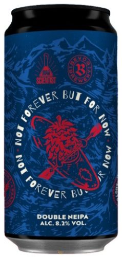 Mad Scientist - Not Forever But For Now   (0,44 L) (8,2 %)