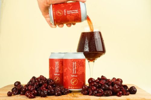 Monyo MOJO WORKIN'24   BLACKCURRANT  SOUR CHERRY  BLACKBERRY SOUR ALE  (0,33L) (5,4%)