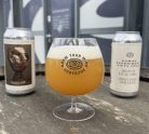 Brew Your Mind Human Experiment FIFTY FOUR -  DDH  IPA   (0,44) (6,8 %)