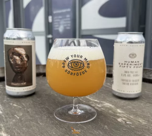 Brew Your Mind Human Experiment FIFTY FOUR -  DDH  IPA   (0,44) (6,8 %)