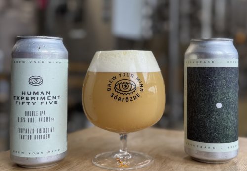 Brew Your Mind Human Experiment FIFTY FIVE - DDH hazy DIPA   (0,44) (9,5 %)