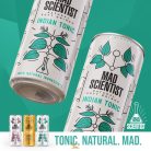 Mad Scientist  - INDIAN TONIC   (0,33L) (0%)
