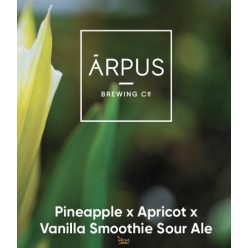   Ārpus Brewing Co. - Pineapple  Apricot  Vanilla Smoothie Sour Ale  (0,44) (4%)