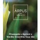 Ārpus Brewing Co. - Pineapple  Apricot  Vanilla Smoothie Sour Ale  (0,44) (4%)