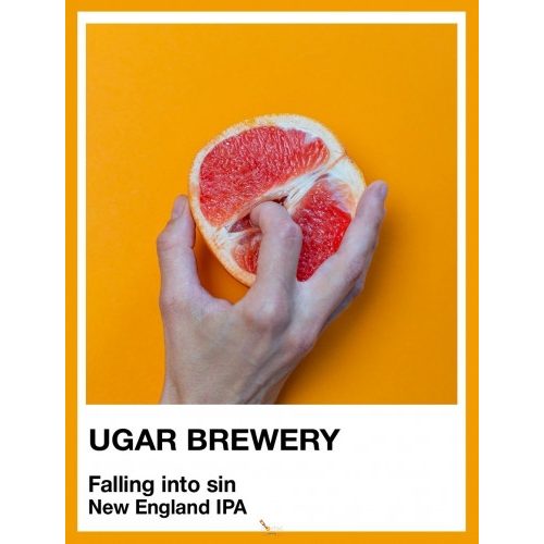 Ugar SPECTRUM SERIES – Falling Into Sin  (0,5L) (4,9%)