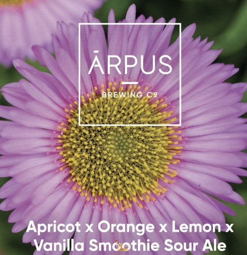 Ārpus Brewing Co.Apricot X Orange X Lemon X Vanilla Smoothie Sour Ale   (0,44) (4,5 %)