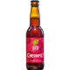 Hoptop Cherrific (0,33L) (4,5%)Belgian Cherry Ale